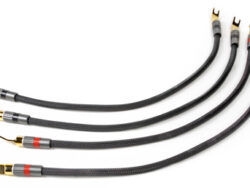 Oracle Speaker Jumpers Cables